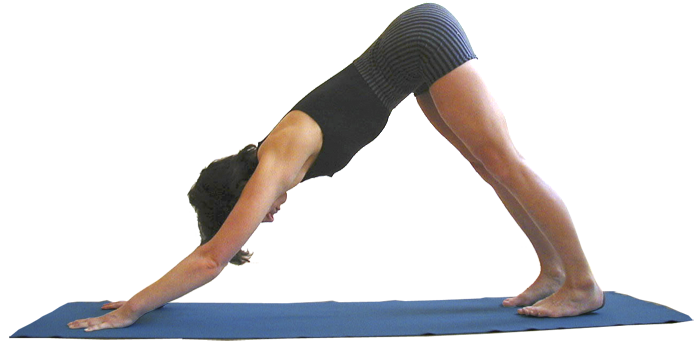 Adho Mukha Svanasana